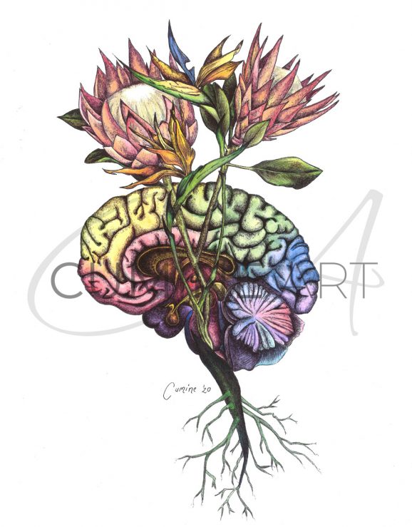 Anatomy/Nature