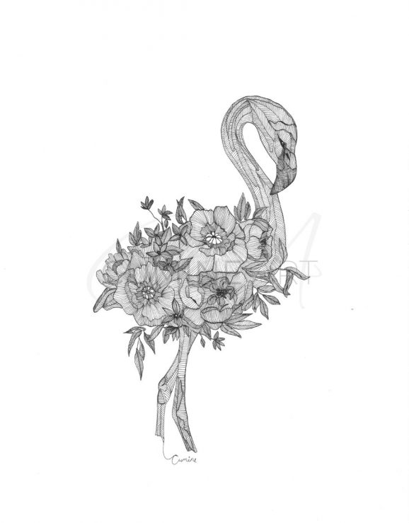 Flamingo