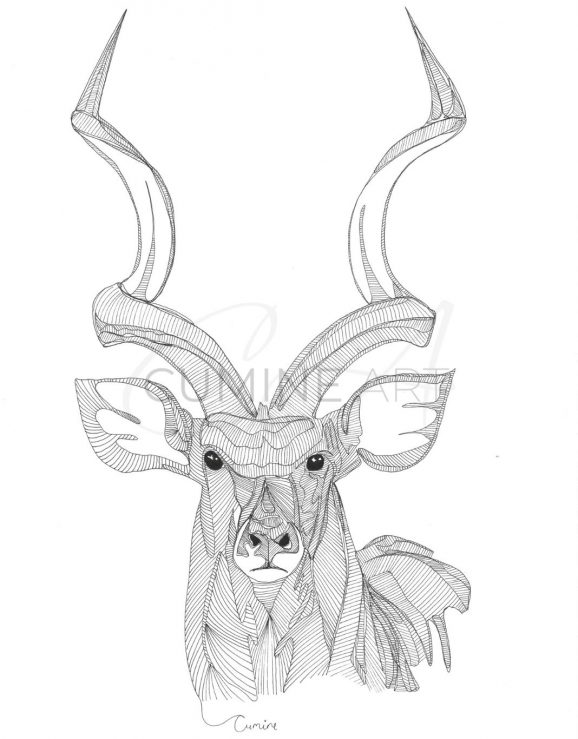 Kudu