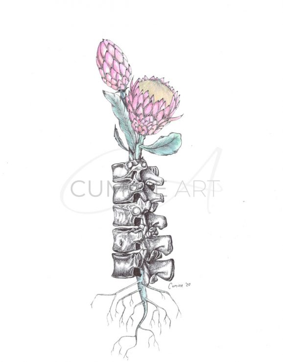 Spinal Restoration