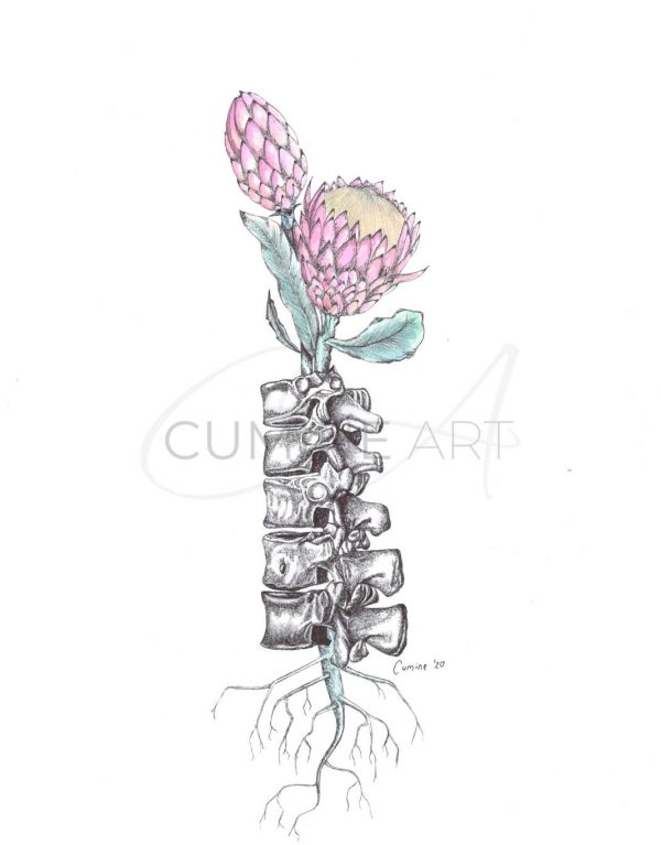 Spinal Restoration