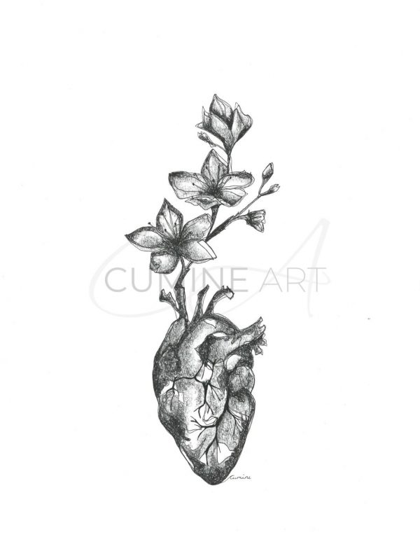 Straight from the Heart