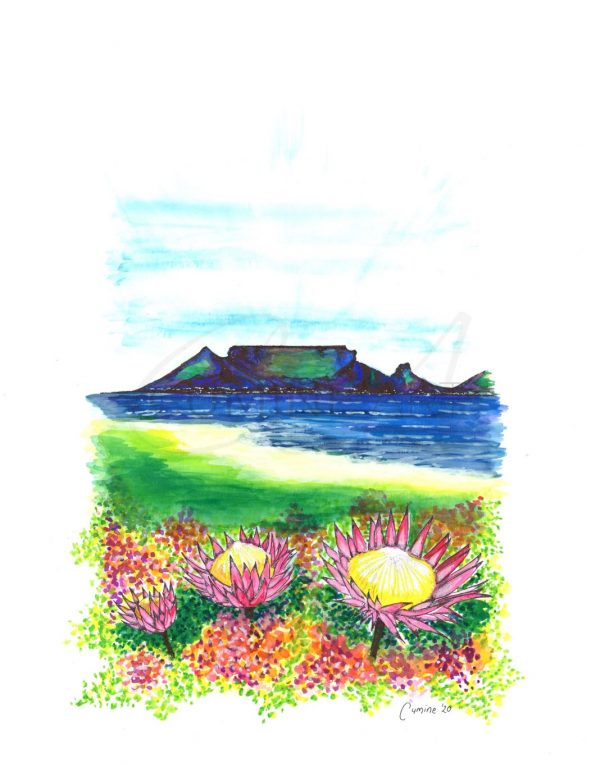 Table Mountain