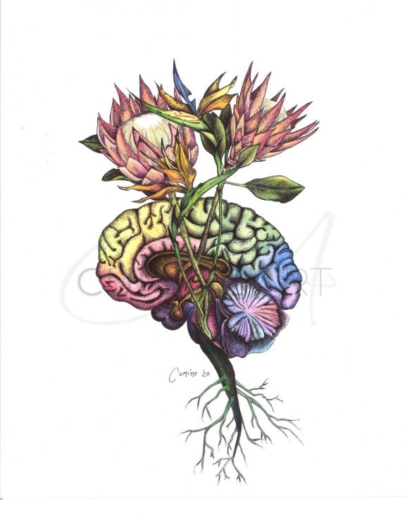 Brain