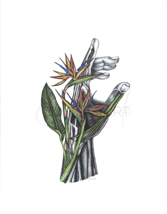 Healing Hand