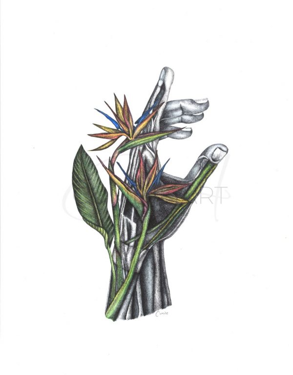 Healing Hand