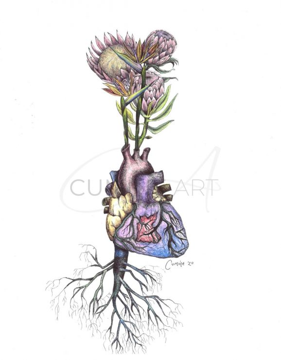 Forever Bloom
