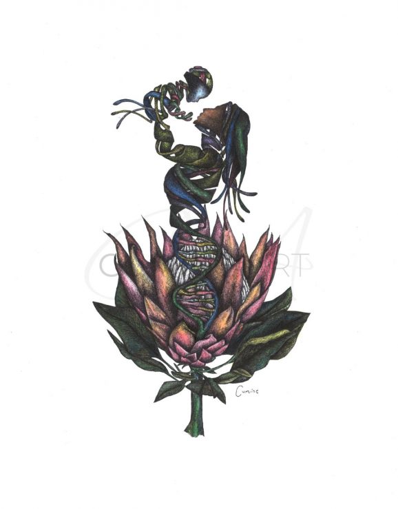 DNA