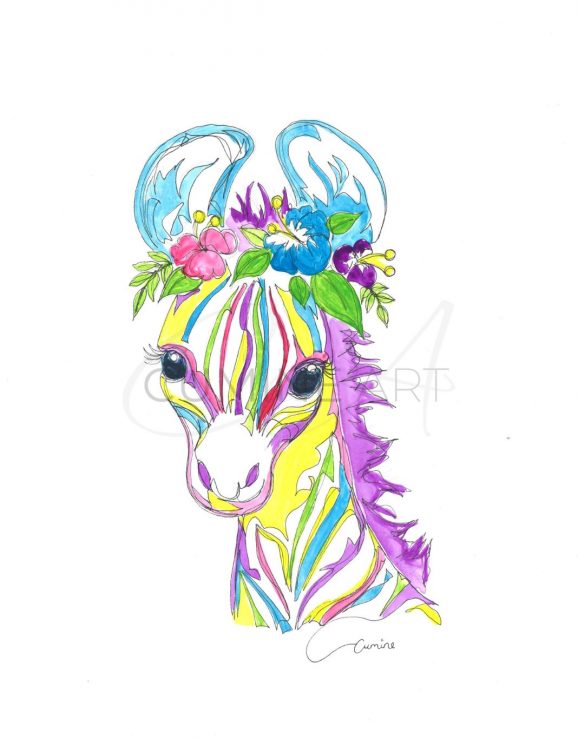 Zebra