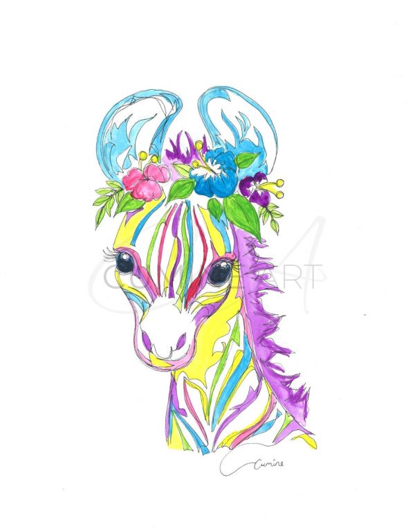 Zebra