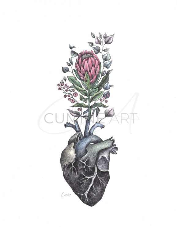 Heart