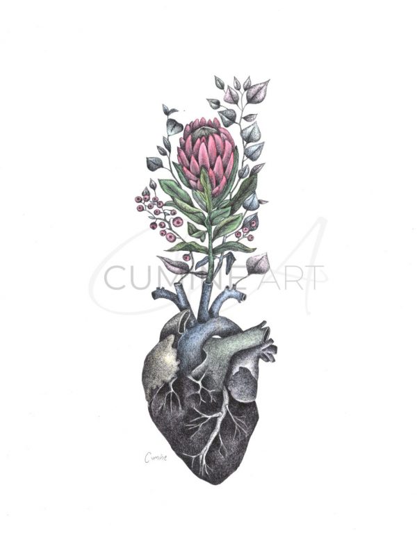 Heart
