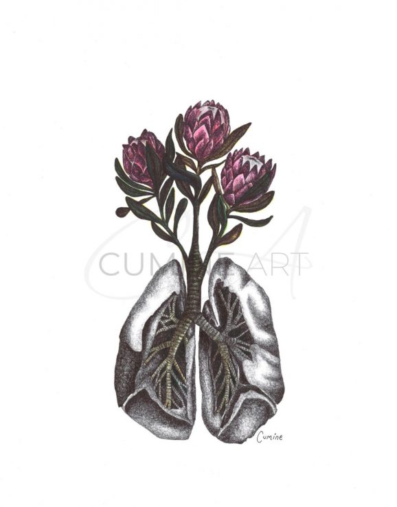 Lungs