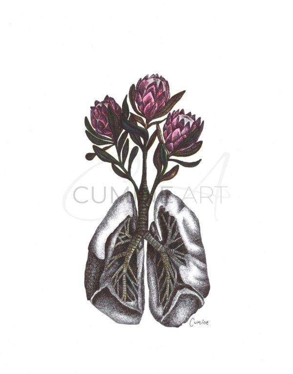 Lungs