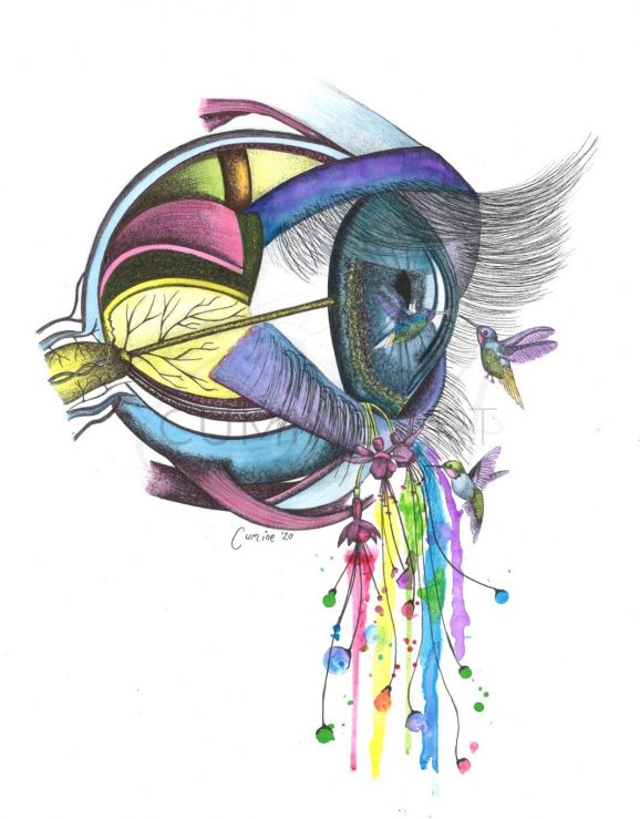 Window of the Soul